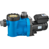Насос с префильтром Speck Badu Gamma Eco VS,  220В, 1,10 кВт