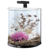  Tetra () AquaArt Explorer Line Tropical 60