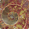Плитка фарфоровая Serapool глазурованная Fossil Mix F10 33х33 см