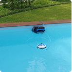    Aquaviva 7311 Black Pearl