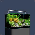   Dennerle Nano Tank Plant Pro, 35 