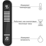  Часы Licht 2000 FLIP (без подключения к Fasel)