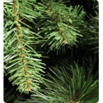    Royal Christmas Montana Slim Tree Premium Hinged 195 